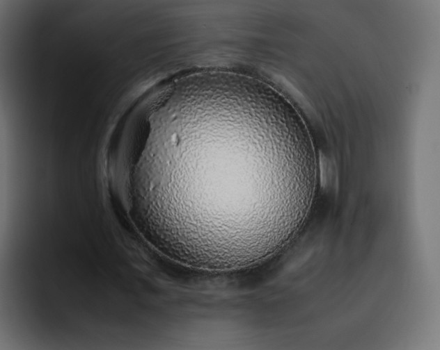 X0000093120675200710031334