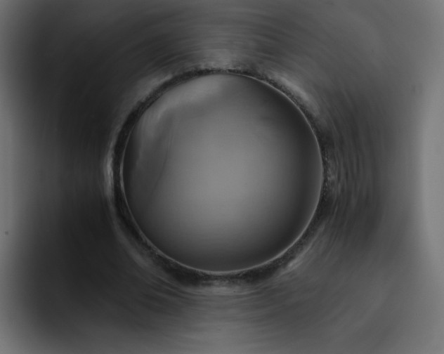 X0000093120678200710031334