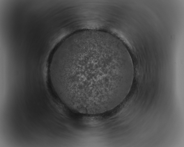 X0000093120679200710031334