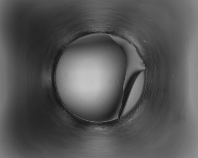 X0000093120681200710031334