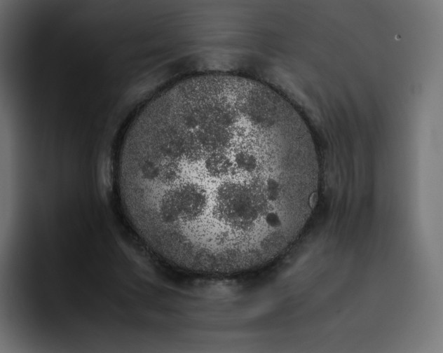 X0000093120683200710031334