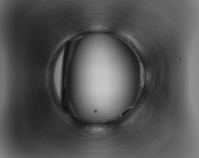 X0000093120684200710031334