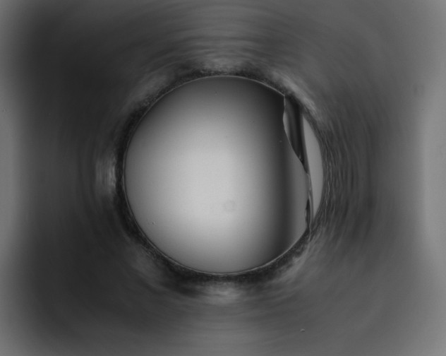 X0000093120685200710031334