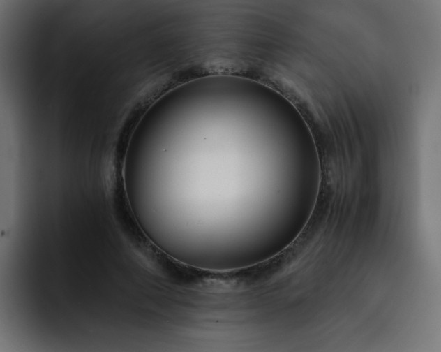 X0000093120690200710031334