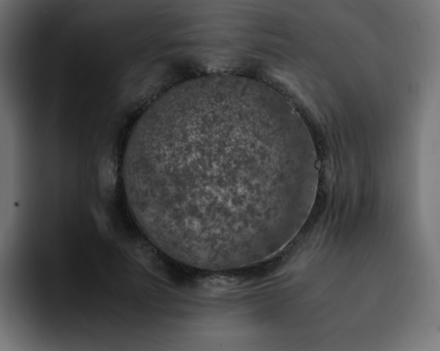 X0000093120691200710031334