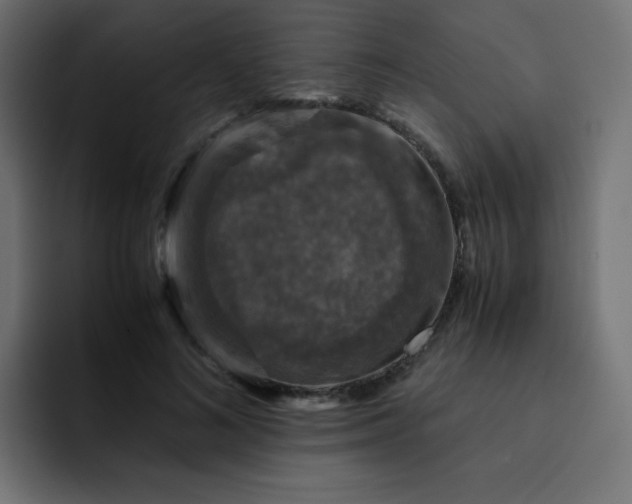 X0000093120692200710031334