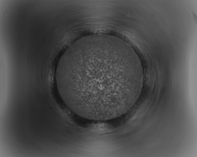 X0000093120695200710031334