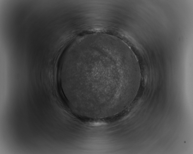 X0000093120696200710031334