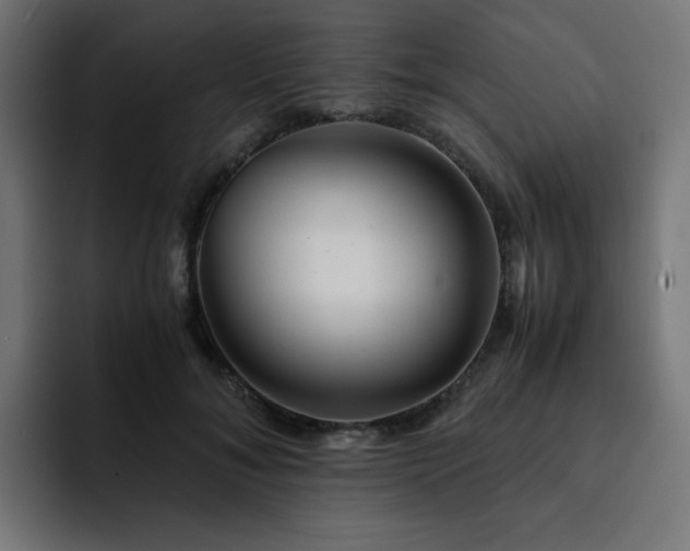 X0000093120700200710031334