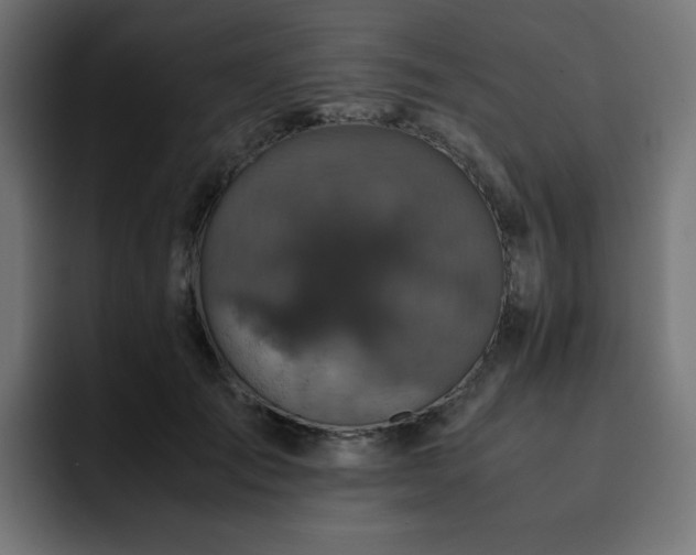 X0000093120701200710031334