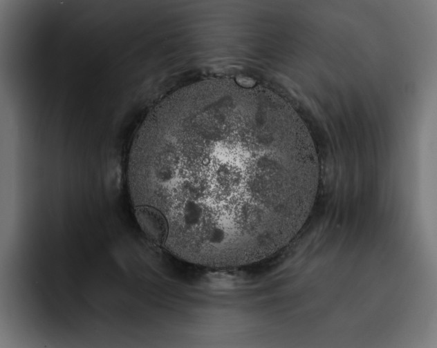 X0000093120703200710031334