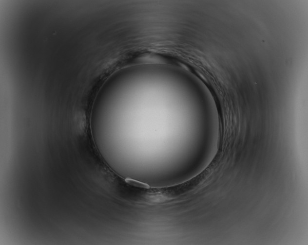 X0000093120704200710031334