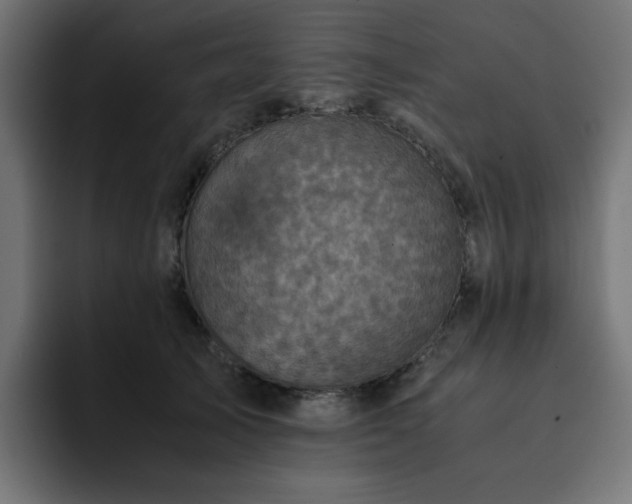 X0000093120705200710031334