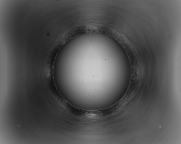 X0000093120706200710031334