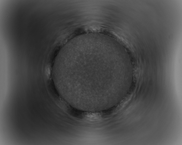 X0000093120709200710031334