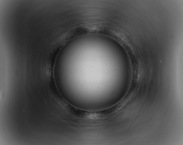 X0000093120710200710031334