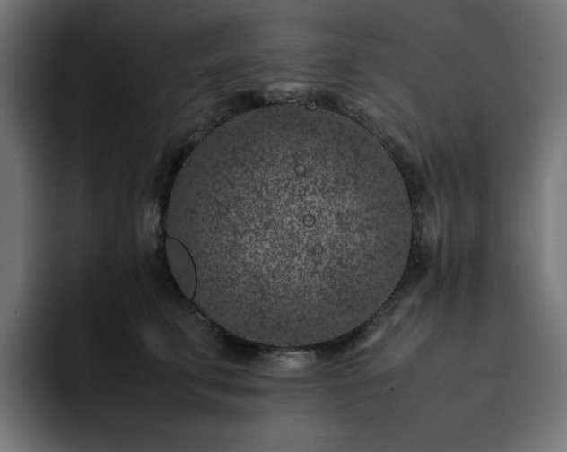 X0000093120711200710031334