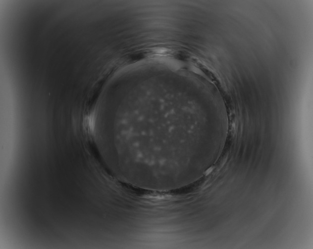 X0000093120712200710031334