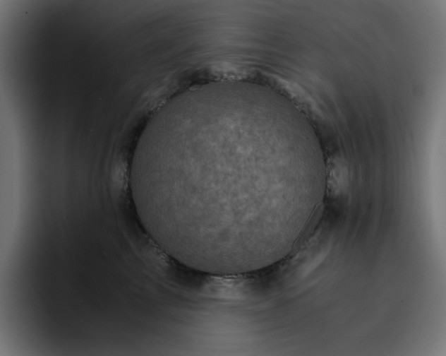 X0000093120713200710031334