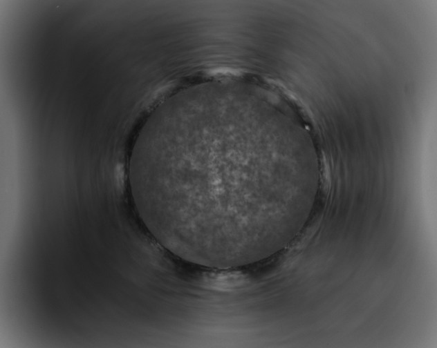 X0000093120716200710031334