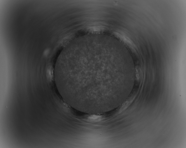 X0000093120718200710031334