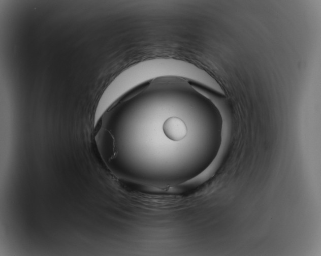 X0000093120720200710031334