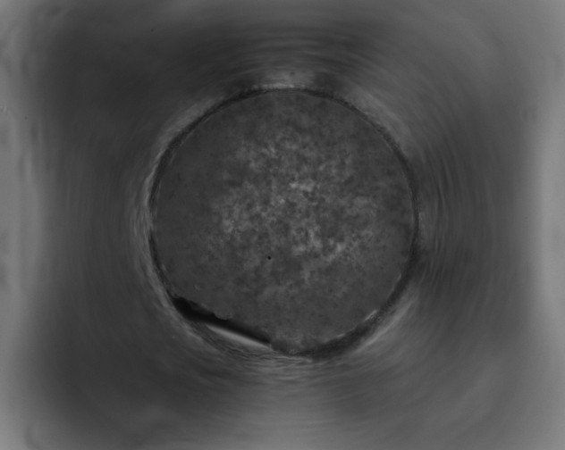 X0000093120721200710031333
