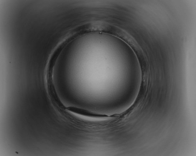 X0000093120722200710031333