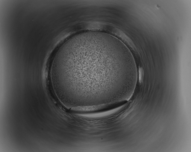 X0000093120723200710031333