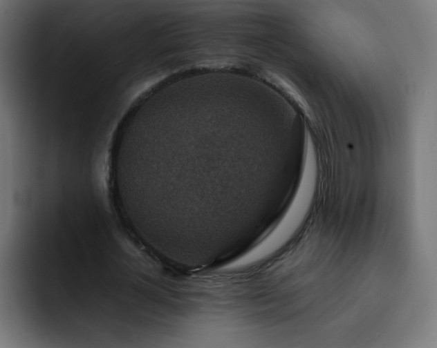 X0000093120724200710031333