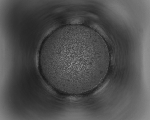 X0000093120725200710031333