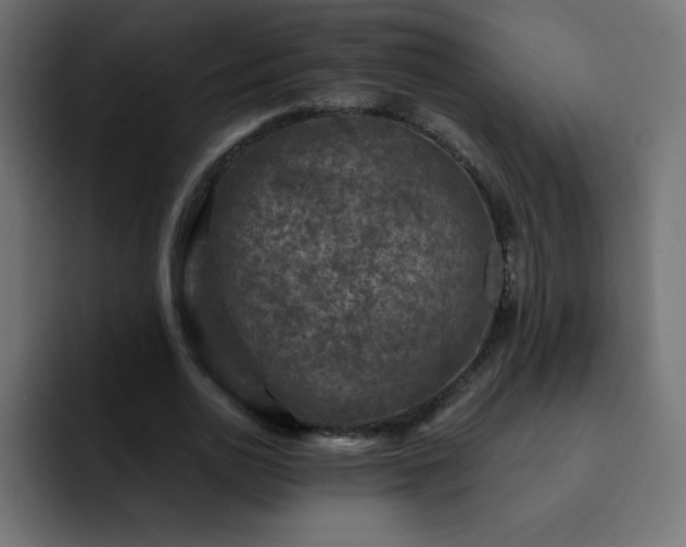 X0000093120726200710031333
