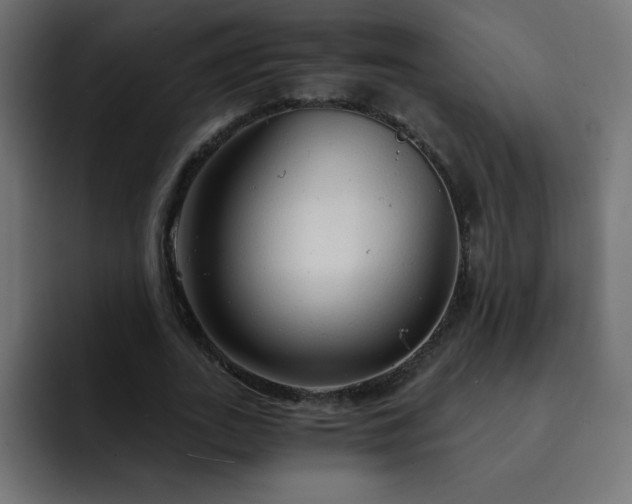 X0000093120727200710031333
