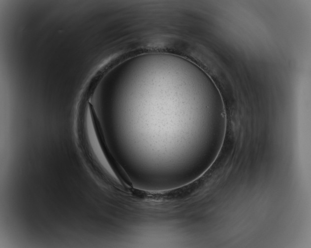 X0000093120728200710031333