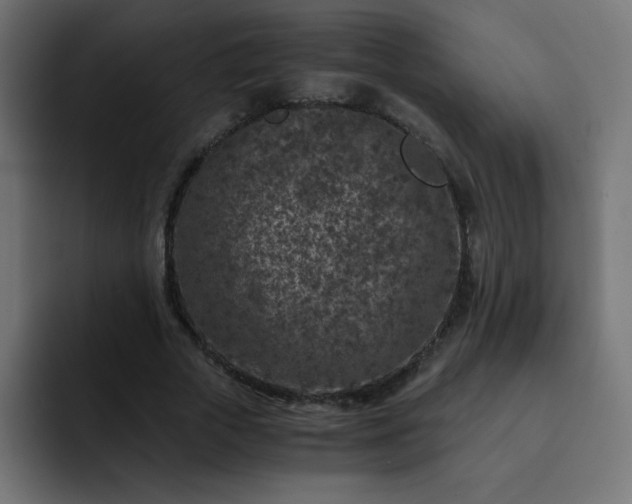 X0000093120729200710031333