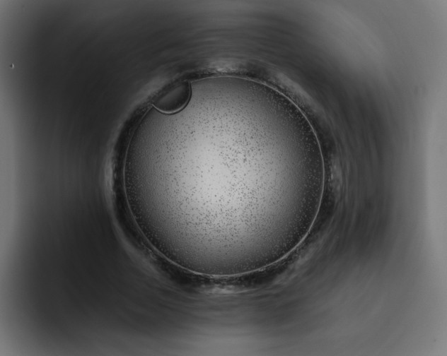 X0000093120730200710031333