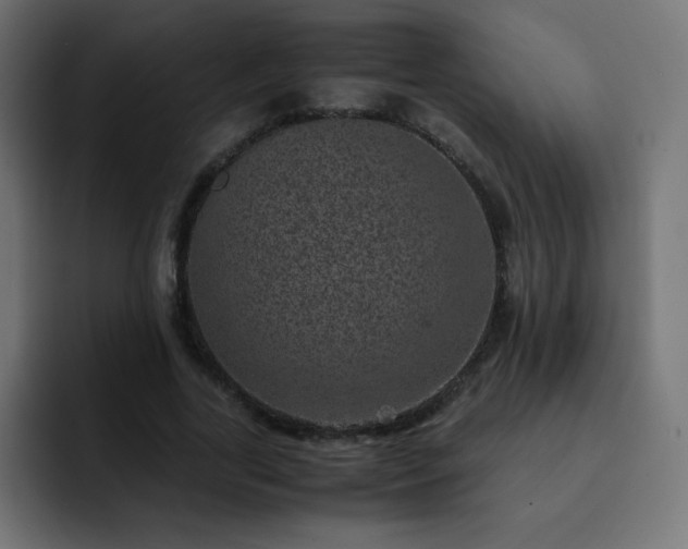 X0000093120731200710031333