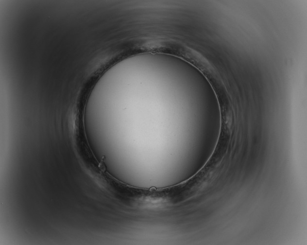 X0000093120732200710031333