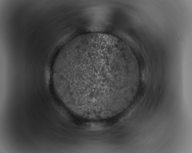 X0000093120733200710031333