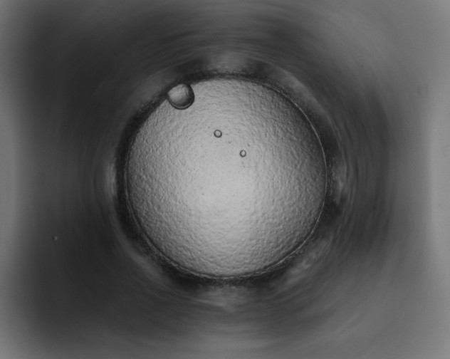 X0000093120734200710031333