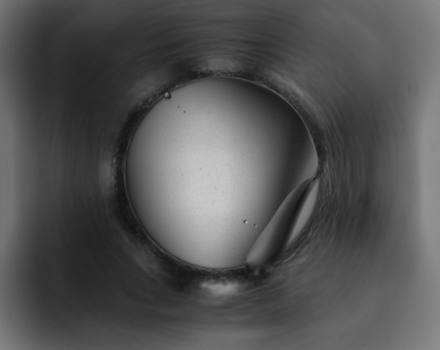 X0000093120735200710031333