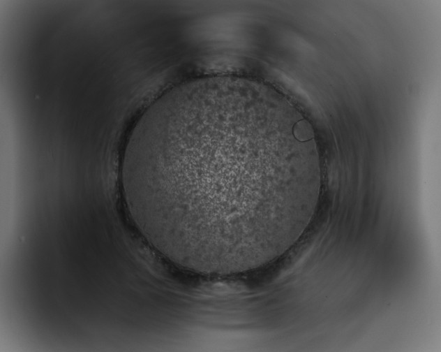 X0000093120737200710031333