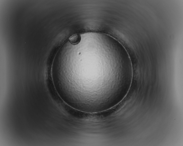 X0000093120738200710031333