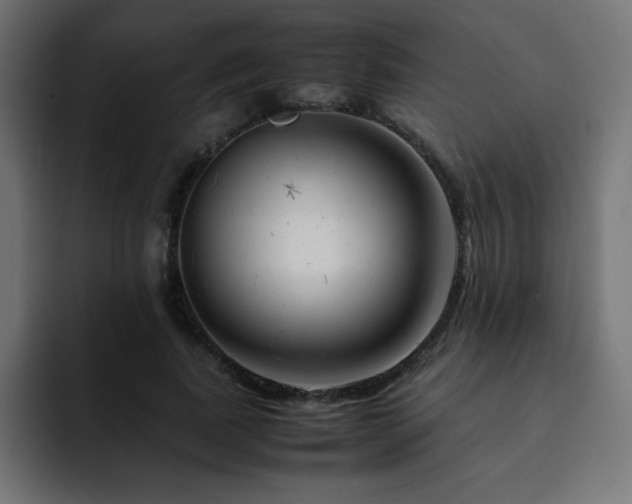 X0000093120739200710031333