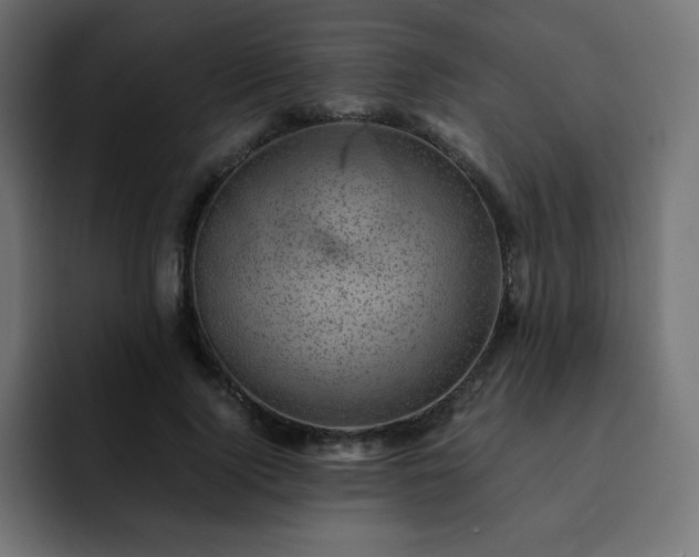 X0000093120740200710031333