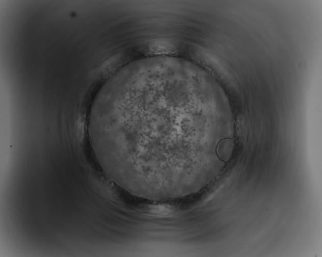 X0000093120741200710031333