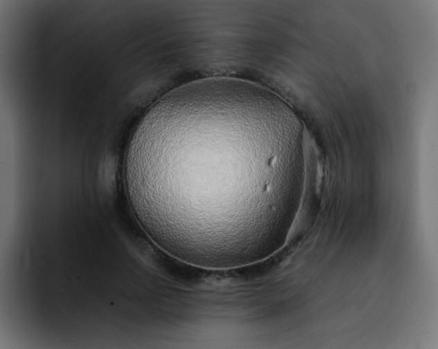 X0000093120742200710031333