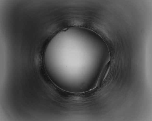 X0000093120743200710031333