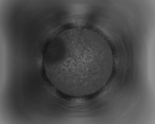 X0000093120745200710031333