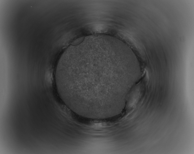 X0000093120746200710031333